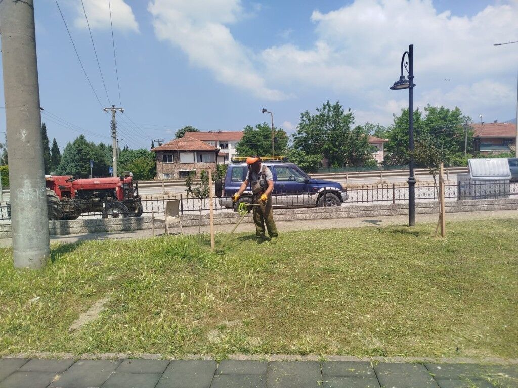 C54Ca8Fa 1704 43F3 Bb01 5C6Db84Ae250