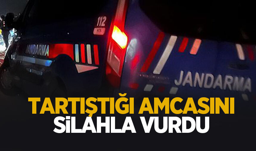 Amcasının bacağına sıktı