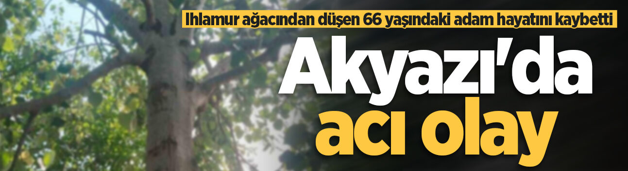Akyazı’da ıhlamur ağacından düşen 66 yaşındaki adam hayatını kaybetti