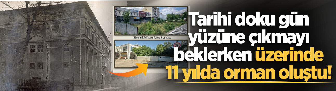 Tarihi doku gün yüzüne çıkmayı beklerken üzerinde 11 yılda orman oluştu!