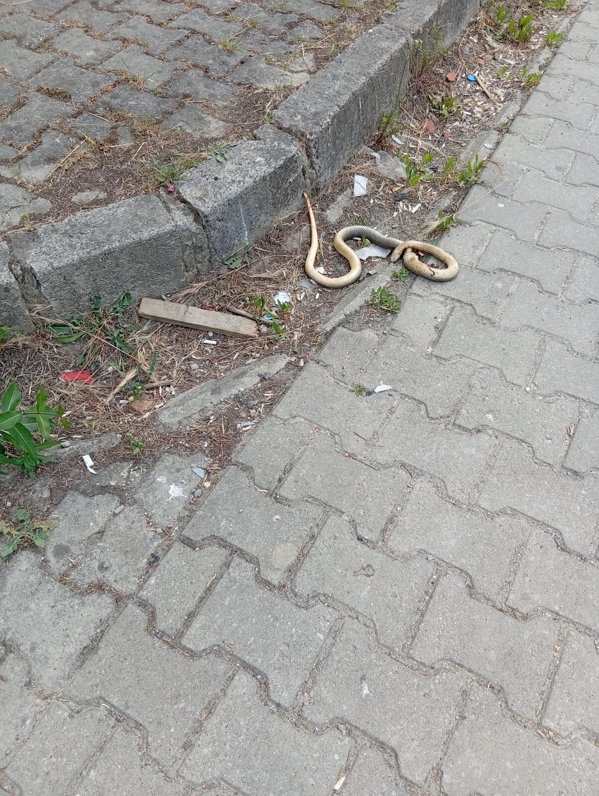 Whatsapp Image 2026 06 14 At 18.39.5634