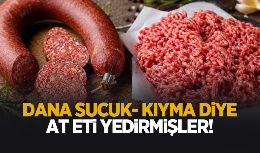 Sucukta ve kıymada at eti çıktı
