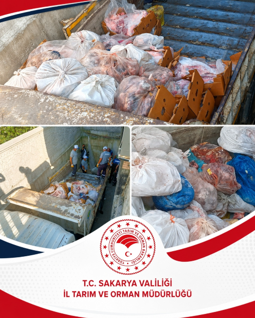 Ekran Görüntüsü 2026 07 02 214735