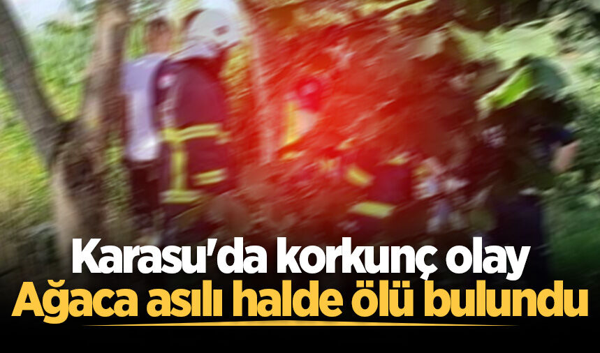 Karasu'da korkunç olay: Ağaca asılı halde ölü bulundu