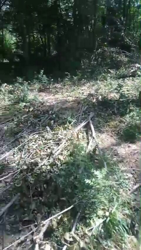 Whatsapp Image 2026 07 05 At 13.39.31 (1)