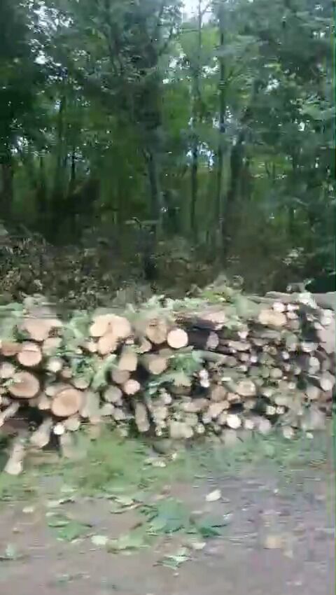 Whatsapp Image 2026 07 05 At 13.39.31