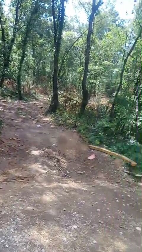 Whatsapp Image 2026 07 07 At 18.41.33