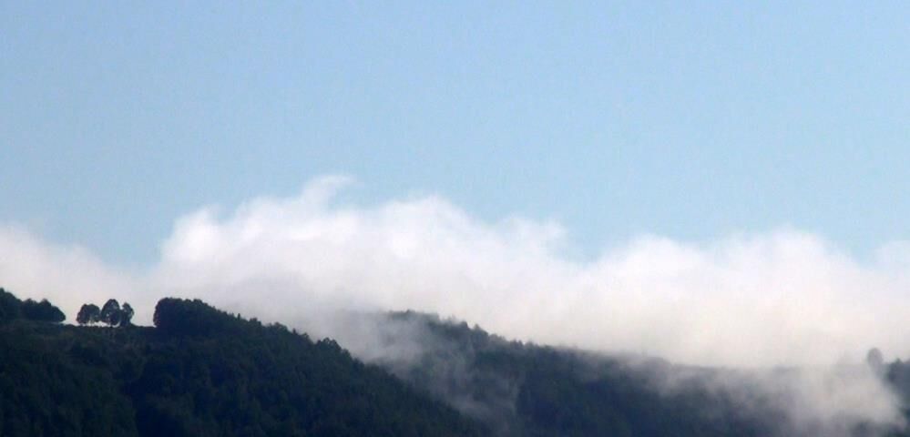 A W761033 02