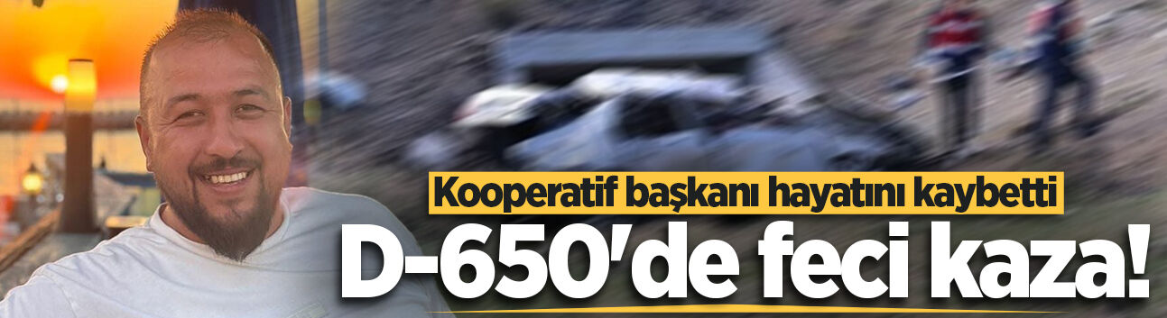 D-650'de feci kaza! Kooperatif başkanı hayatını kaybetti
