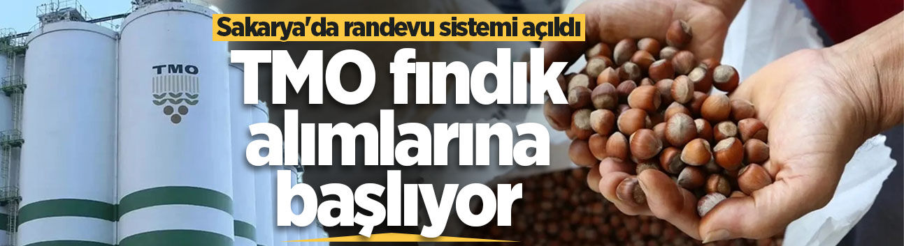 TMO fındık alımlarına başlıyor: Sakarya'da randevu sistemi açıldı