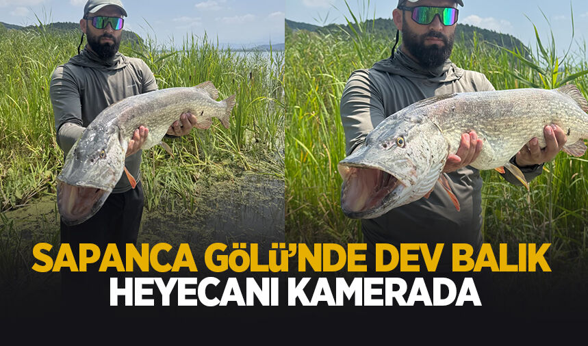 Sapanca Gölü'nde dev balık heyecanı kamerada
