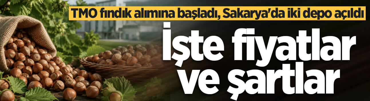 TMO'nun Sakarya’da fındık alımları başladı: İşte fiyatlar ve şartlar