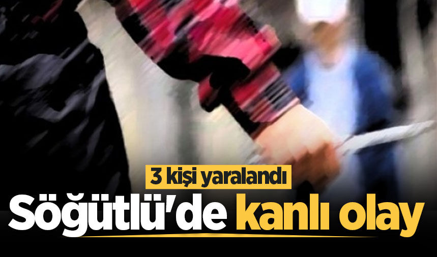 Söğütlü'de kanlı olay: Yaralılar var