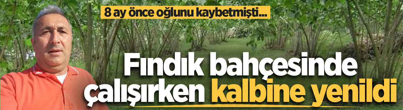 Fındık bahçesinde çalışırken kalbine yenildi