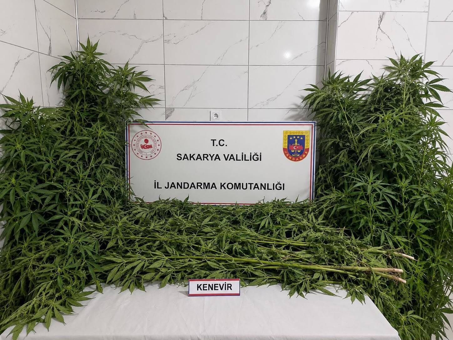 Whatsapp Image 2026 08 07 At 17.29.392