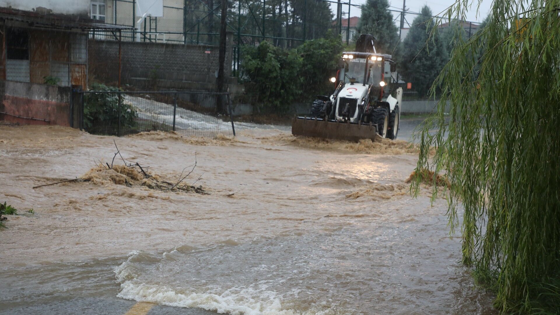 2M3A5741 (Large)