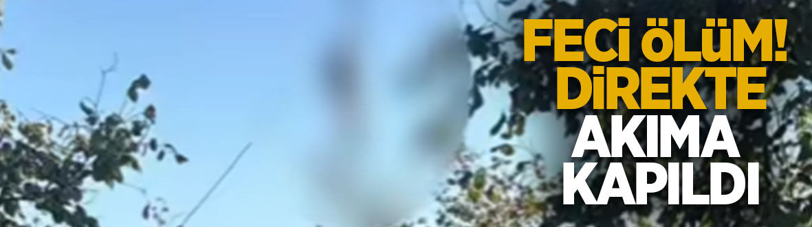 Feci ölüm! Ampul değiştirirken can verdi