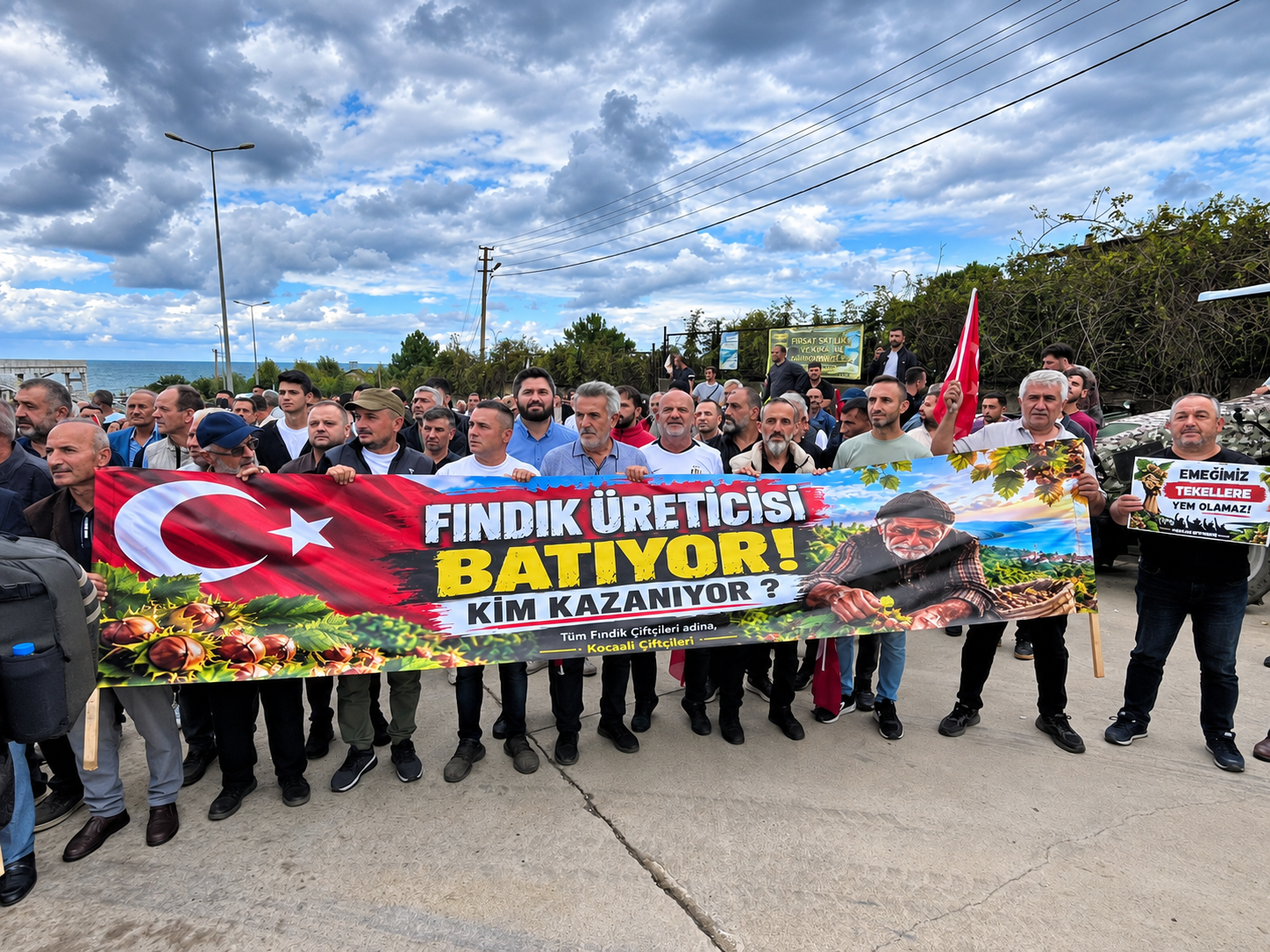 Fındık (4)