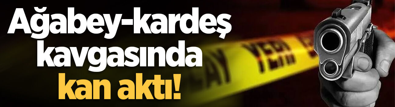 Akyazı'da ağabey-kardeş kavgasında kan aktı: 1 yaralı