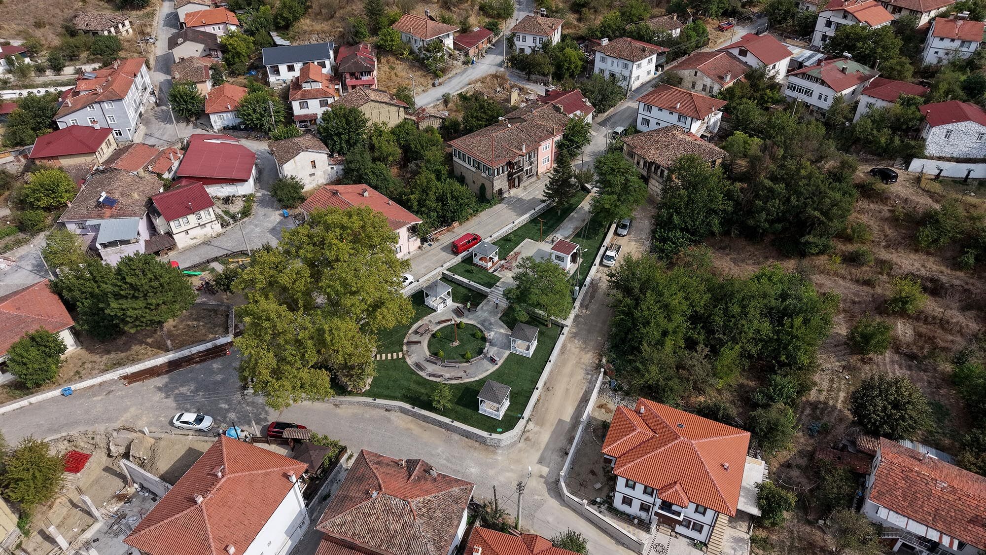 Tarihi Çınar 1