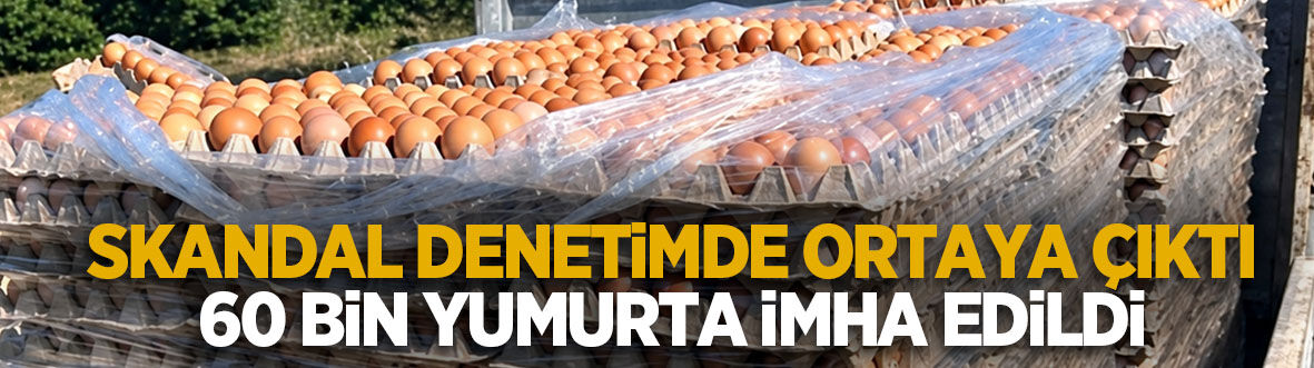 Skandal! 60 bin yumurta imha edildi