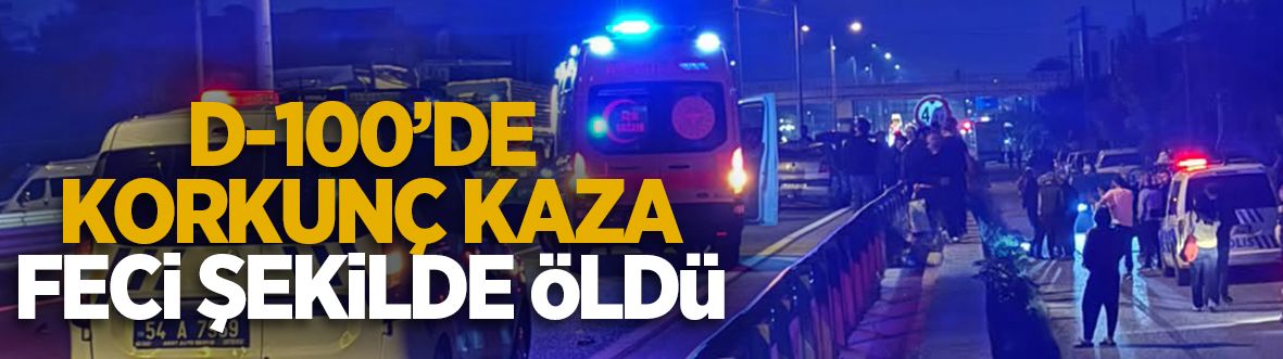 D-100’de korkunç kaza! Kadın hayatını kaybetti