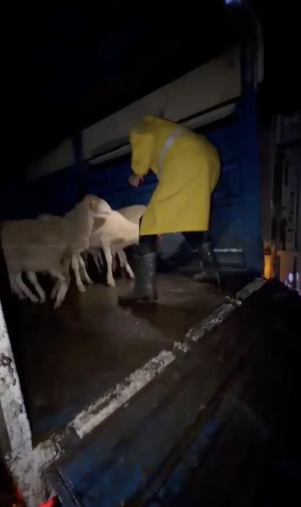 A W810593 03