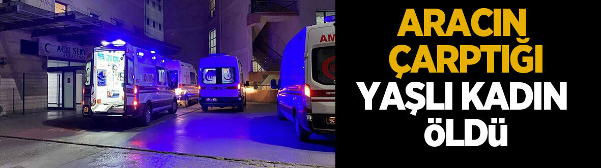 Feci kaza! Yaşlı kadın hayatını kaybetti