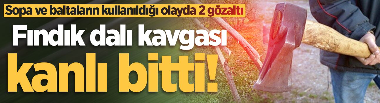 Hendek'te fındık dalı kavgası kanlı bitti! Sopa ve baltaların kullanıldığı olayda 2 gözaltı