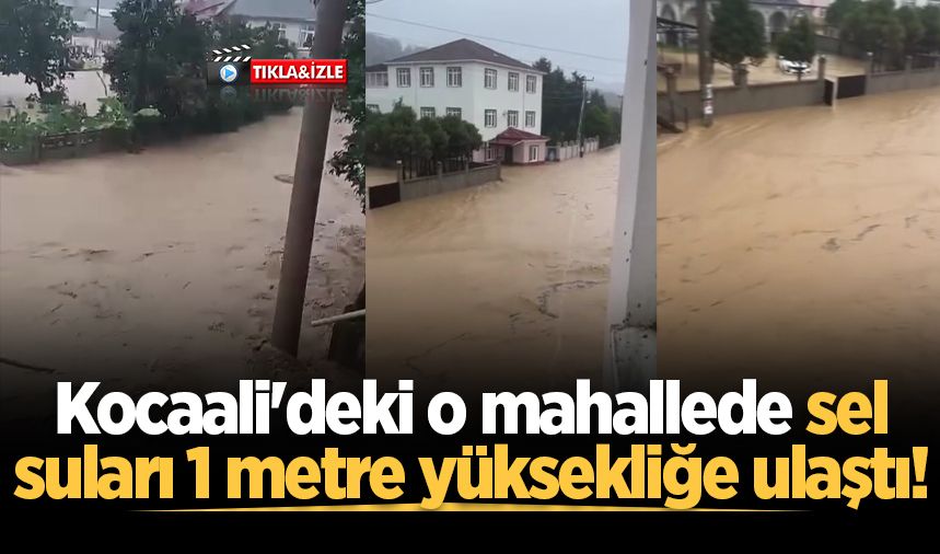 Kocaali'deki o mahallede sel suları 1 metre yüksekliğe ulaştı!