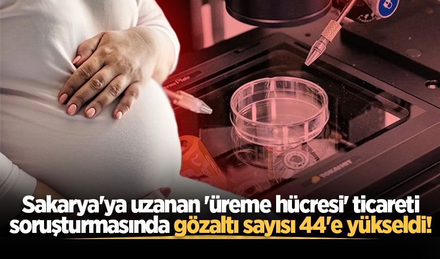ASAYİŞ