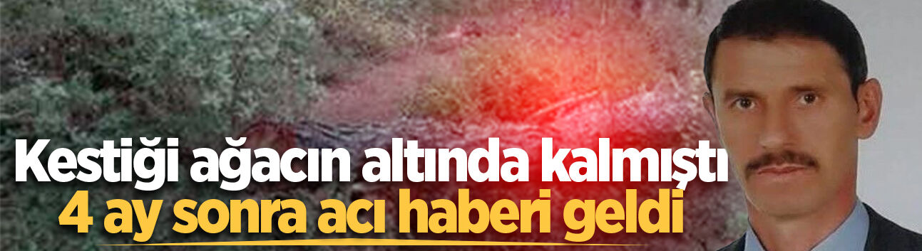 Kestiği ağacın altında kalmıştı, 4 ay sonra acı haberi geldi