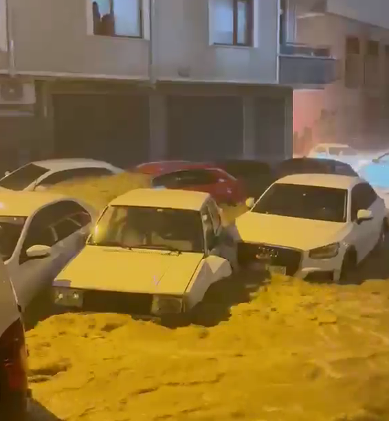 Ekran Görüntüsü 2026 10 15 001124