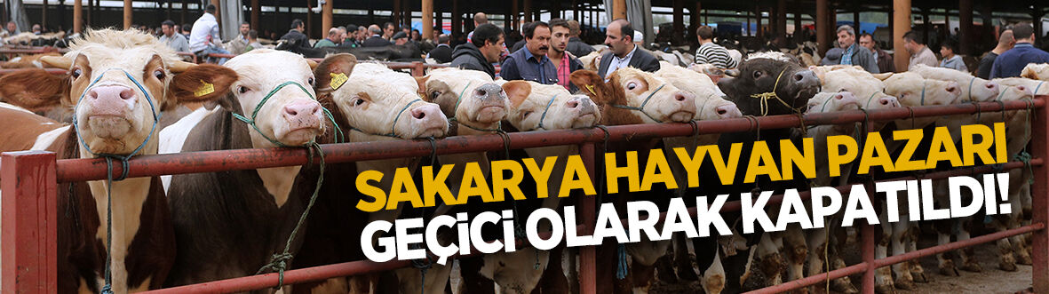 Sakaya Hayvan Pazarı kapatıldı!