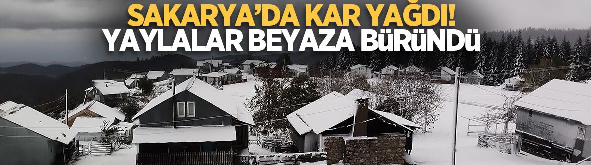 Mevsimin ilk karı düştü! Sakarya'da yaylalar beyaza büründü