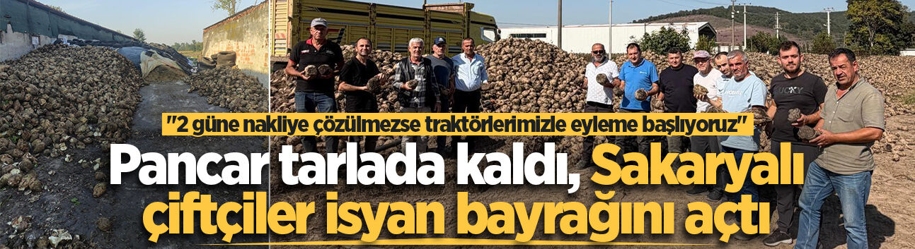 Pancar tarlada kaldı, Sakaryalı çiftçiler isyan bayrağını açtı: "2 güne nakliye çözülmezse traktörlerimizle eyleme başlıyoruz"
