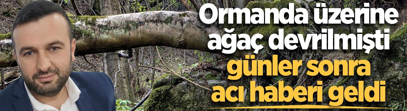 Ormanda üzerine ağaç devrilmişti, günler sonra acı haberi geldi