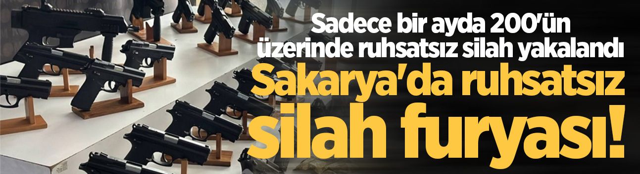 Sakarya'da ruhsatsız silah furyası! Sadece bir ayda 200'ün üzerinde ruhsatsız silah yakalandı