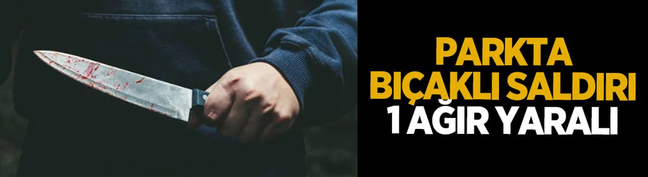 Parkta bıçaklı saldırı