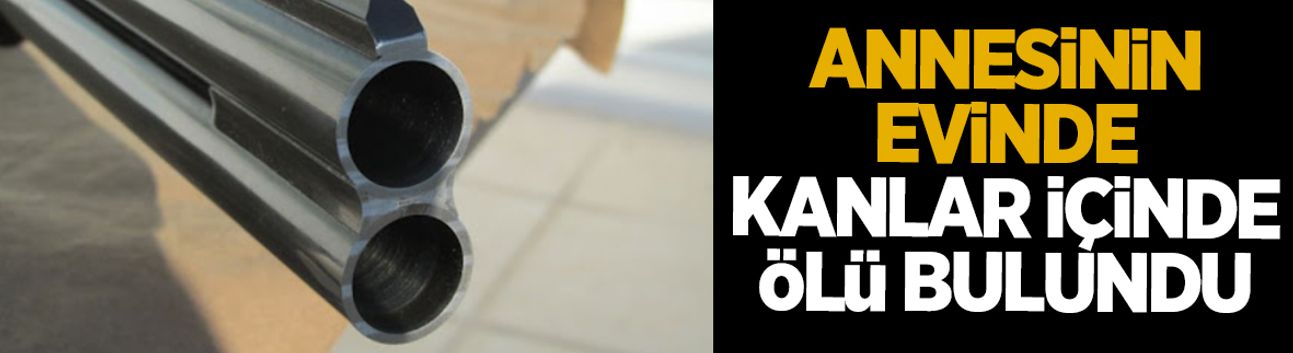 Kanlı olay; Annesinin evinde kanlar içinde ölü bulundu