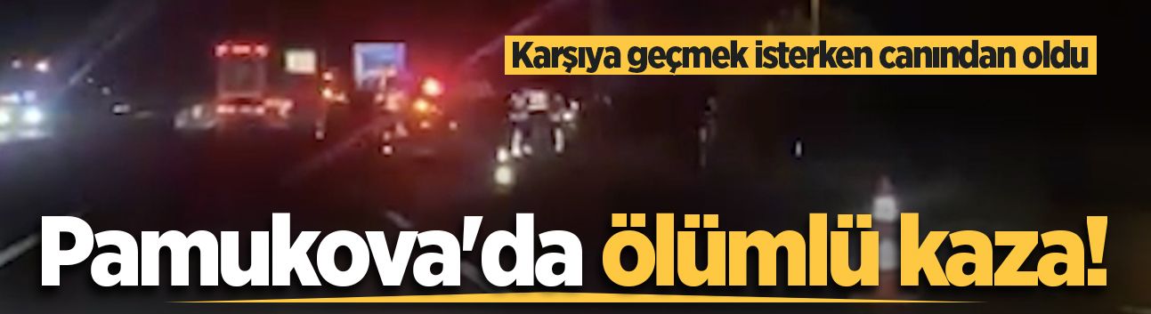 Pamukova'da ölümlü kaza! Karşıya geçmek isterken canından oldu