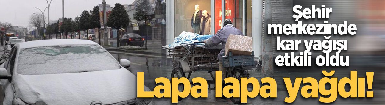 Sakarya'da lapa lapa kar yağışı etkili oldu