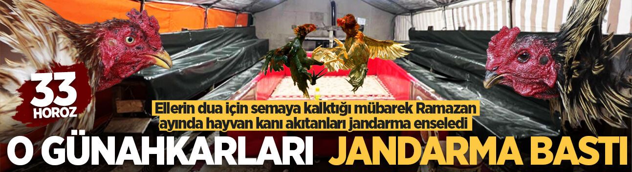 Ellerin dua için semaya kalktığı mübarek Ramazan ayında hayvan kanı akıtanları jandarma enseledi