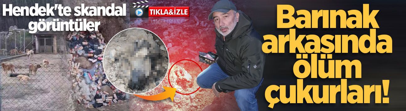 Hendek'te skandal görüntüler: Barınak arkasında ölüm çukurları!